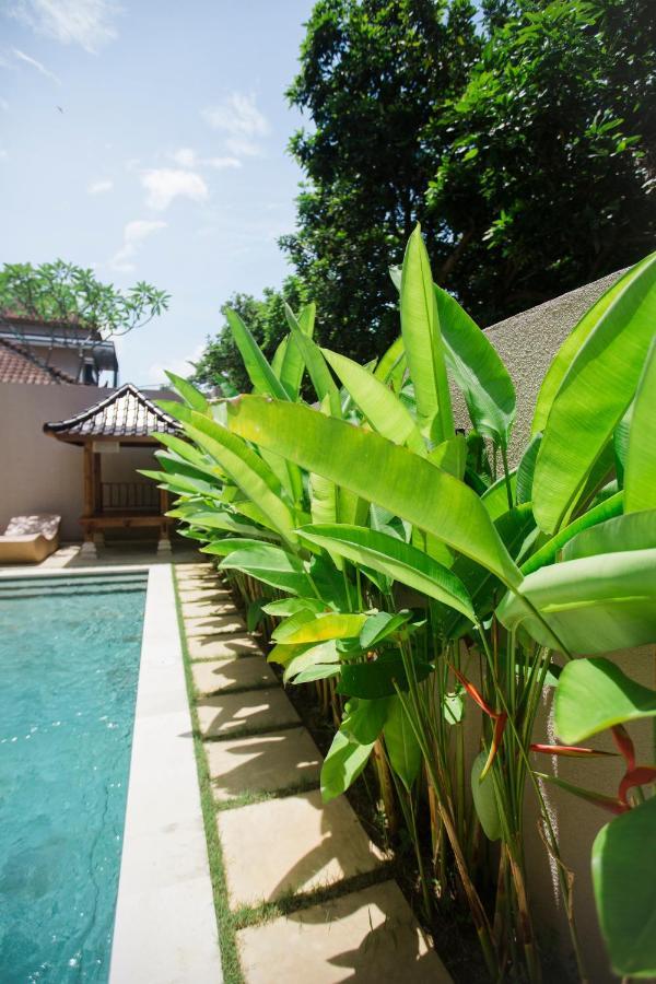 Donguri House Bali Bed and Breakfast Jimbaran Eksteriør billede